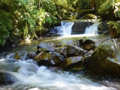 Encante-se no Parque das 8 Cachoeiras e Lago São Bernardo - São Chico - RS